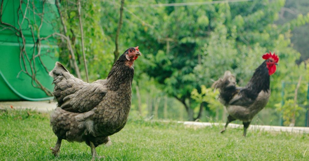 entdecken sie nachhaltige praktiken und ideen, die ihnen helfen, umweltfreundlicher zu leben und die erde für zukünftige generationen zu schützen.