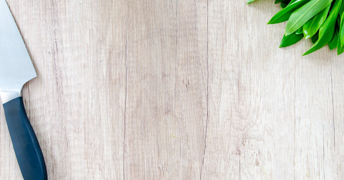 entdecken sie die kunst des kochens mit kreativen rezepten und kulinarischen tipps für jeden anlass. von einfachen gerichten bis zu raffinierten menüs – lassen sie ihrer leidenschaft fürs kochen freien lauf!