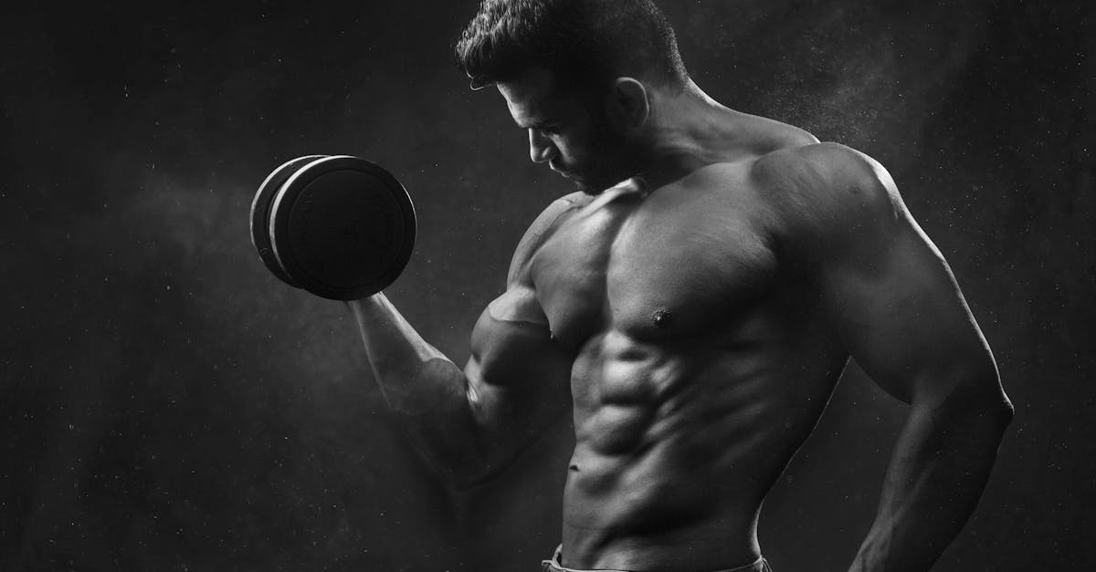 entdecken sie die besten fitness-tipps, trainingspläne und ernährungsempfehlungen, um ihre gesundheit und fitnessziele zu erreichen. verbessern sie ihre leistung und fühlen sie sich großartig!