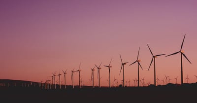 Umweltbewusstsein im Alltag: Tipps für eine nachhaltige Lebensweise